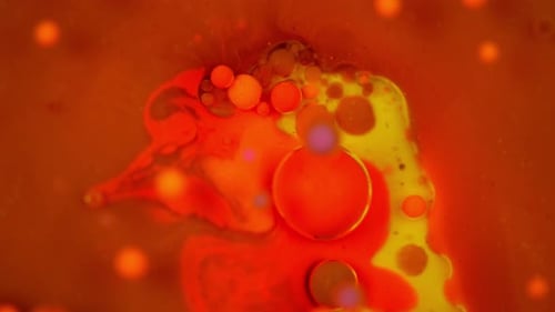 Experiências de cores de bolhas de óleo em câmera lenta Uma das bolhas explode