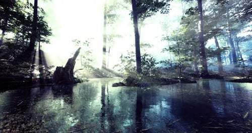 Misty Morning Sunlight Filtering Through a Serene Forest Landscape Near Water