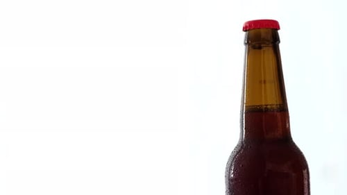 Brown Bottle of Beer