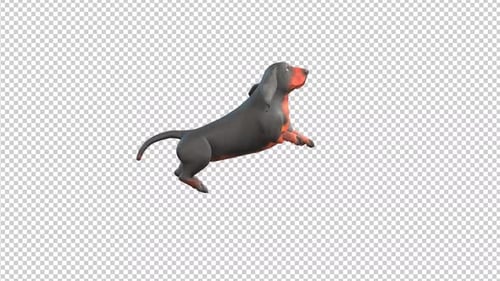 3D Animated Dachshund Dog Walking Jumping Barking