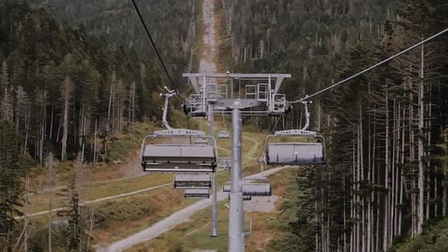 Cable Car with a View of the Forest A Funicular in the Mountains Cableway