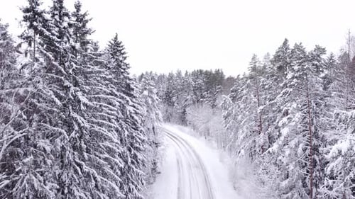 Serene snow-covered road winding through a tranquil winter forest, aerial view