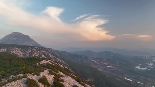 Forest and Mountain Range in Background