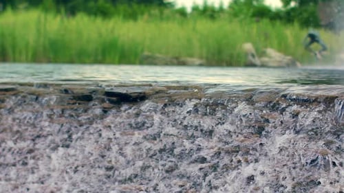 River Waterfall. Clear River Water Flowing Over Stone Cascade In