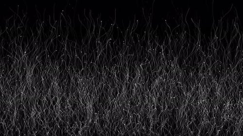 3D Virtual Network Artificial Intelligence Futuristic Technology Digital Cyber Space