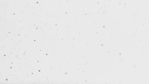 Air Bubbles Ascending Against Grey Background