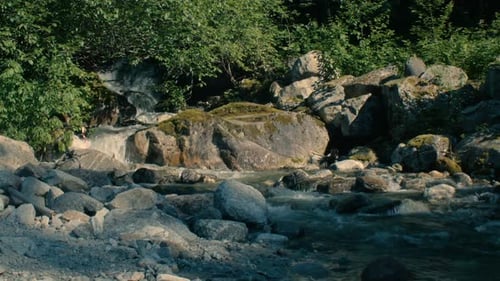 Wide shot of creek in foreground, cascades in background surrounded by trees