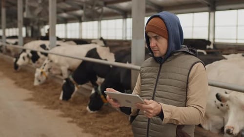 Male Farmer Using Digital Tablet