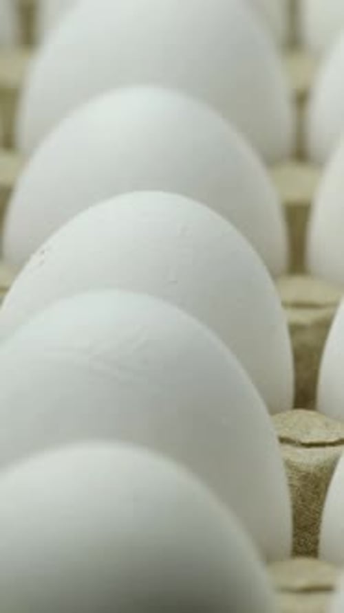 Close Up of White Eggs in Cardboard Carton