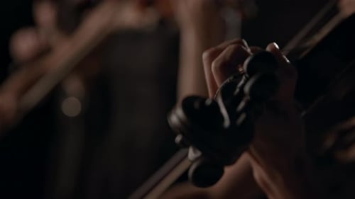 Hands of Music Player on Classic Wooden Violin Close Up. Enjoy Talented