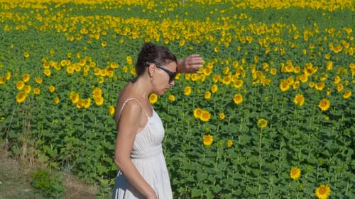 Femme dans une robe blanche debout dans un champ de tournesols