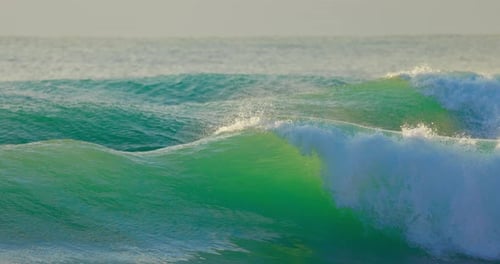 Surfer Male Rides on Wave in Cold Winter Ocean with Evening Sun Light