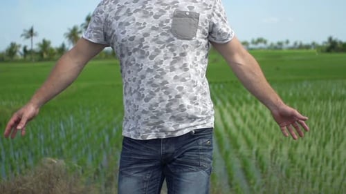 Young Man Walking and Turning Around Through Rice Field 30s