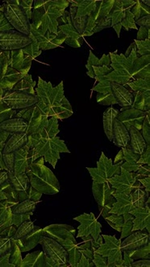 Green Leaves Blowing in the Wind Transition Effect Close Up Render Footage with Fresh Nice Leaves