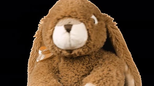 Kuscheliges und flauschiges Plüschtier Hase dreht sich um und schaut sich um. Alpha-Kanal enthalten.