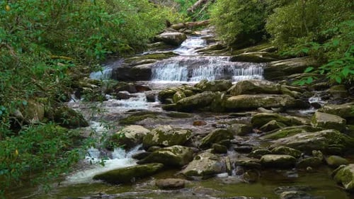 Klares fließendes Wasser, das über Felsbrocken im üppigen Sommerwald kaskadiert und friedliche Wildnis schafft