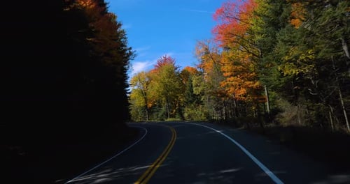 Driving Down Mountain Road, Empty Forest Drive Active