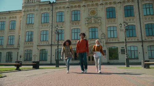 Amigos multirraciais, estudantes, homem africano, homem, homem, mulher caucasiana, meninas, mulheres, mulheres, ao ar livre, universidade