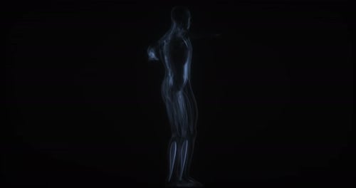 Rotating Human Body Muscles Anatomy Medical Scan
