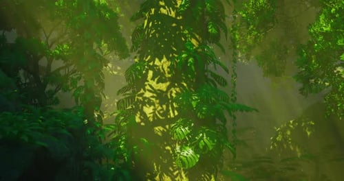 Animated Tropical Forest with Sunlight Rays Through Leaves