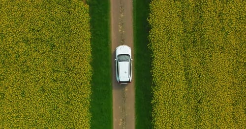 Aerial View Electric Car Driving on Country Road Luxury Modern Vehicle Riding Fast Along Trees and