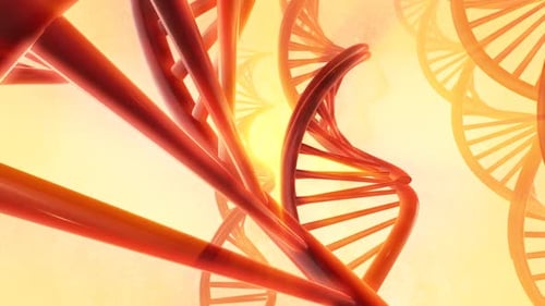 Animated DNA Double Helix Genetic Structure Loop