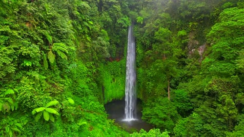 Lush Tropical Waterfall Plunges Through Green Forest