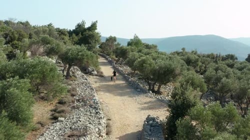 Aerial: male running with dog on mountain trail path, 4K drone tracking view
