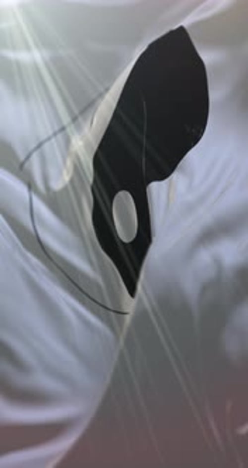 Elegant Vertical Fabric Reveal Animation