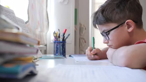Boy Doing Homework at Desk Indoors
