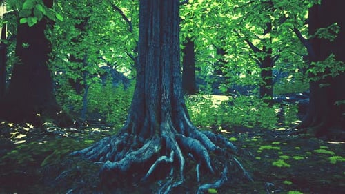 A Majestic Tree with Exposed Roots in a Mystical Forest