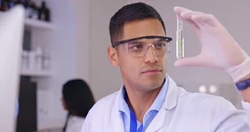 Doctor, man and plant in tube for science research, sustainability or botany at the laboratory