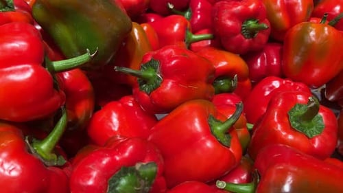 Fresh Red Bell Peppers and Chilli Peppers
