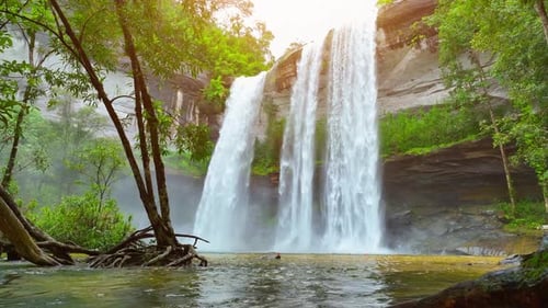 Lush Waterfall Flowing into Pool