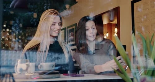 Merry Girlfriends Chatting in Cafe