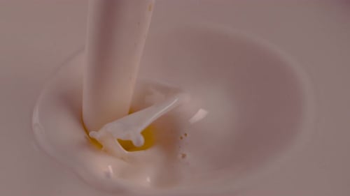 Milch, Joghurt, Spritzer, Zeitlupe, Appetitwirbel, cremig gießen, dynamisches Liquid Motion, Foodstyling