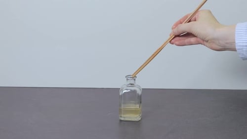 Wooden Sticks in a Fragrance Bottle
