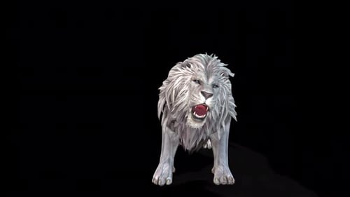 3D White Lion Roaring Animation