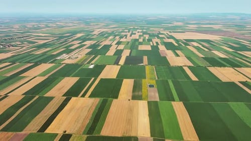 Aerial View of Agriculture Fields