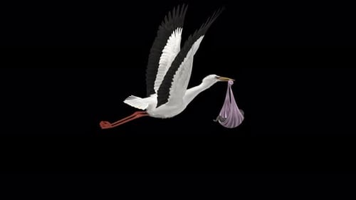 Stork Bird Bringing Newborn Baby - Dark Skin - Flying Loop - Back Side Angle CU - Alpha Channel