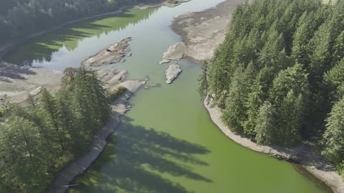 A Top Aerial Shot Of Drying Out River In The Forest On A Sunny Day