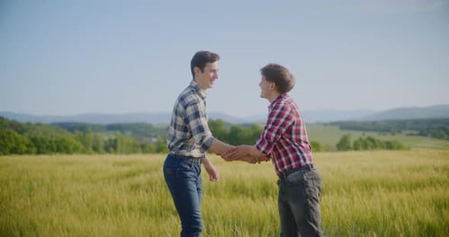 Farmer Examining Crops In Agriculture Field Wheat Before Harvesting