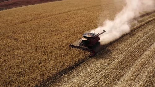Beautiful drone shot of combine harvesting corn in Texas
