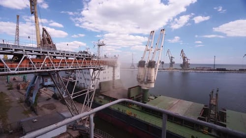 Wheat Loading to Bulker Ship Cargo Container at Sea Grain Terminal in Seaport Grain Shipment From