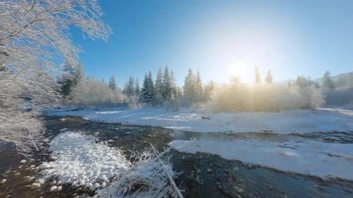 Flight Along a Mountain River Surrounded By a Snowcovered Forest