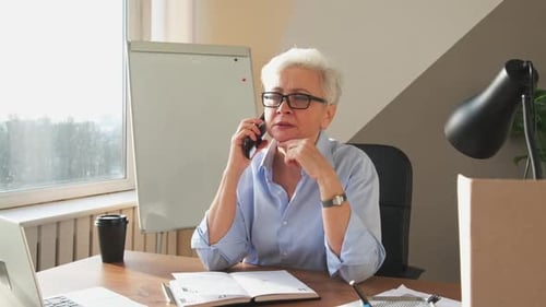 Businesswoman on Phone Call in Bright Office