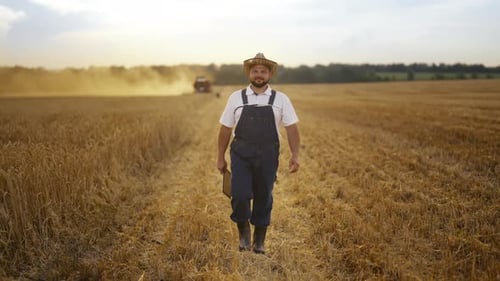 Harvest Season in Agricultural Area Happy Farmer Walking in Halfmown Field Portrait of Professional
