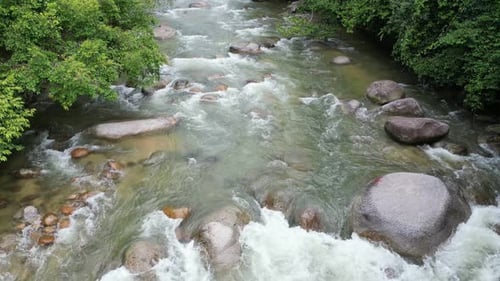 Water and forest create a harmonious landscape.