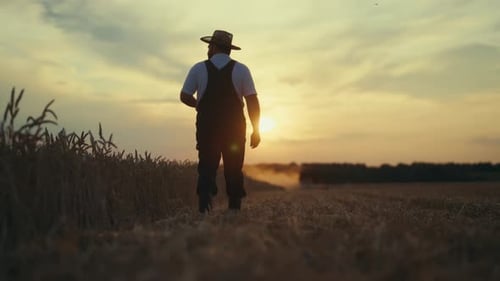 Farmer Walks Through Wheat Field at Sunset