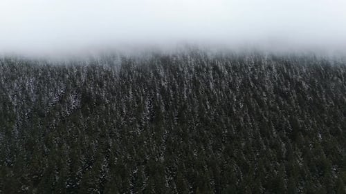 Aerial Drone Footage Over Dense Fog in the Forest in Pyrenees Mountains Baqueira Beret Catalonia